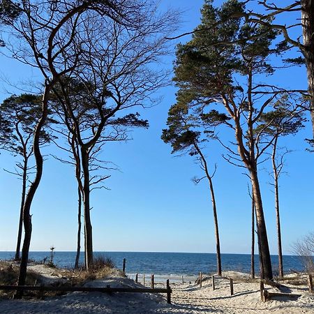 Ferienwohnung Strandkoje Dierhagen Εξωτερικό φωτογραφία